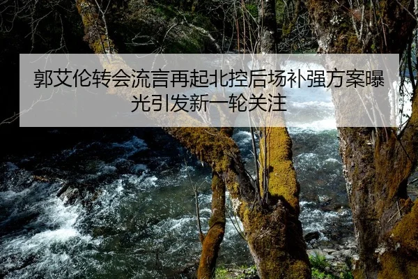 郭艾伦转会流言再起北控后场补强方案曝光引发新一轮关注